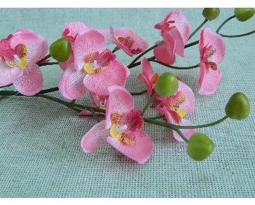 Фаленопсис ярко-розовый мелкий 6-132а